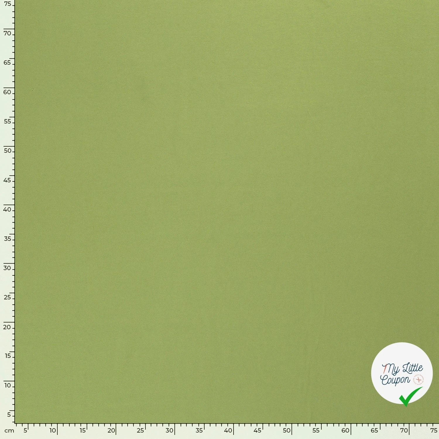 JERSEY DE COTON BELLE TENUE POMME VERTE - My Little Coupon