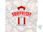 BOX LINGERIE SURPRISE - My Little Coupon - tissu - coudre