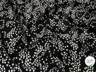 CREPE SATINÉ FOND NOIR POIS BLANC - My Little Coupon