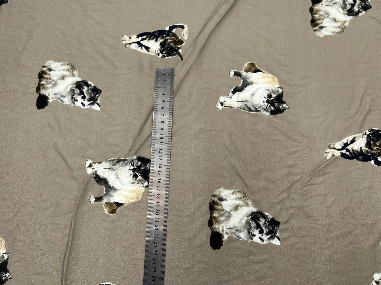 VISCOSE IMPRIMÉE ADORABLE CHAT MSO