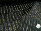 JAQUARD ULTRA CHIC GEOMETRIE VERT - My Little Coupon
