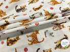 PERCALE COTON CHATS BLANC - My Little Coupon