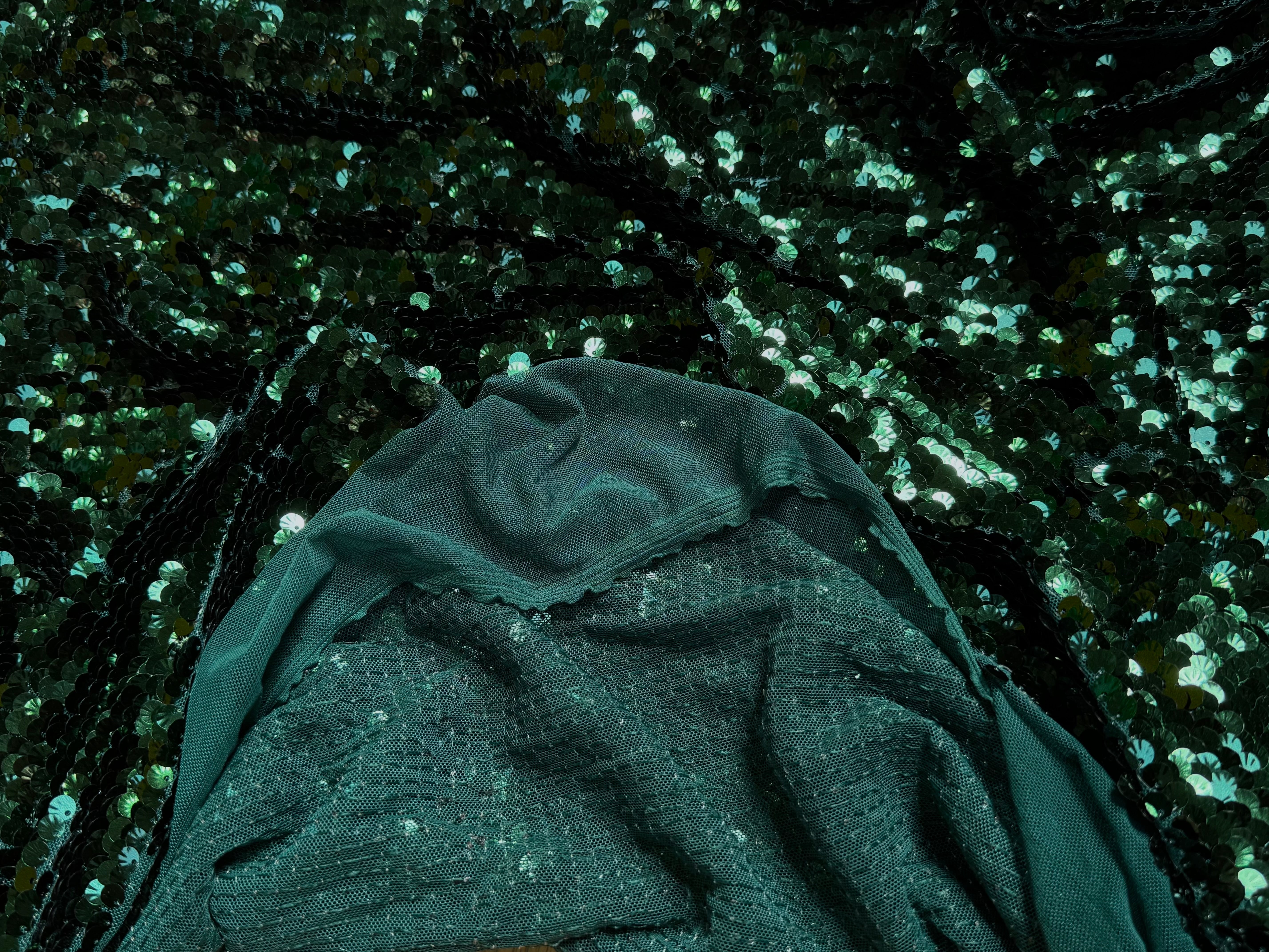 SEQUIN RESILE BRODÉE PAILLETTE VERT FORÊT - My Little Coupon