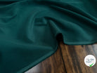 VELOURS 1000 RAIES UNI SALICORNE 145 - My Little Coupon