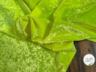 VELOURS CARVICO MAILLE STRETCH JAUNE FLUO - My Little Coupon