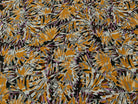 VISCOSE FIZIA JAUNE / TAUPE - My Little Coupon